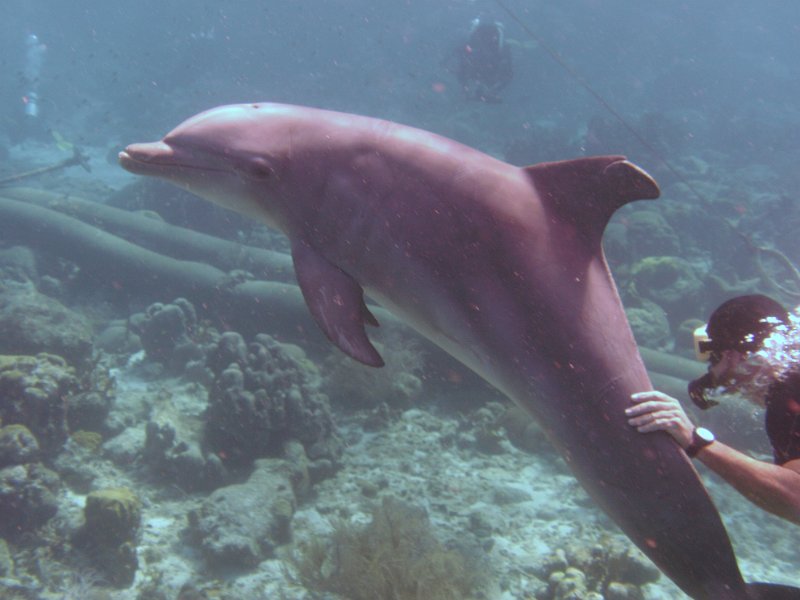 Curacao 04-12 393.JPG